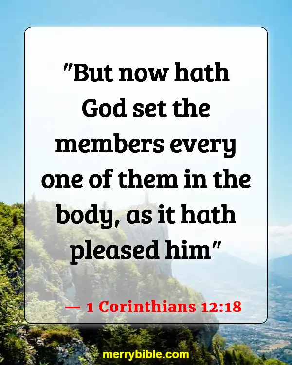 Bible Verses About Being Unique And Special (1 Corinthians 12:18)