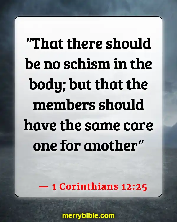 Bible Verses About Being Unique And Special (1 Corinthians 12:25)