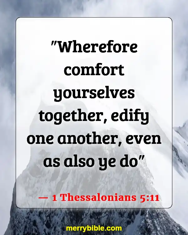 Bible Verses About Belonging To The Family Of God (1 Thessalonians 5:11)