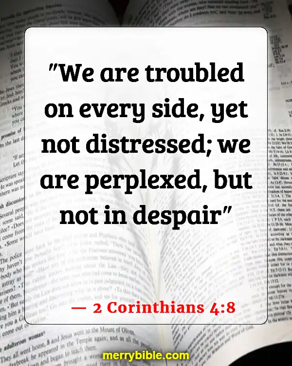 Bible Verses About Belonging To The Family Of God (2 Corinthians 4:8)