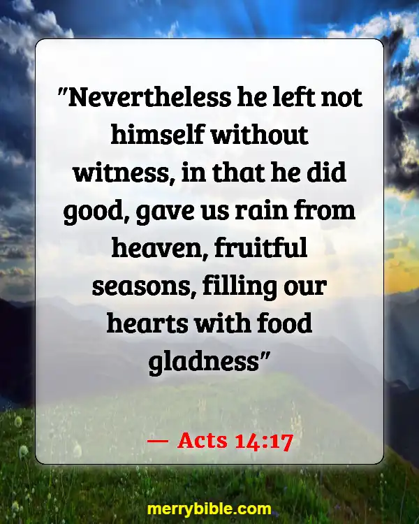 Bible Verses About God’s Love For Unbelievers (Acts 14:17)