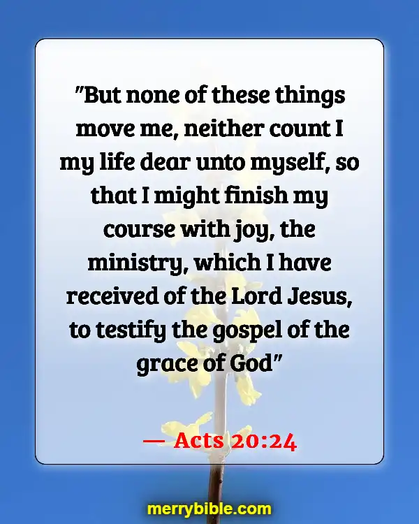 Bible Verse About Running The Race With Perseverance (Acts 20:24)