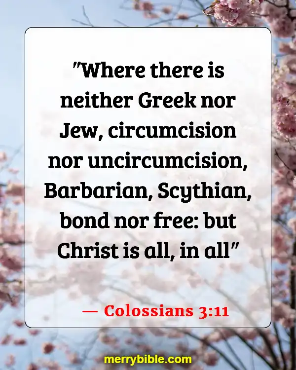 Bible Verses About Being Unique And Special (Colossians 3:11)