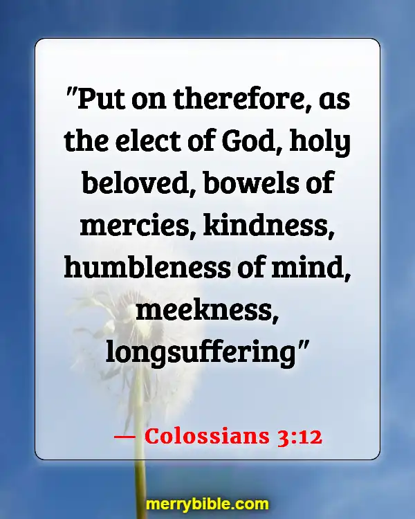 Bible Verses About Belonging To The Family Of God (Colossians 3:12)