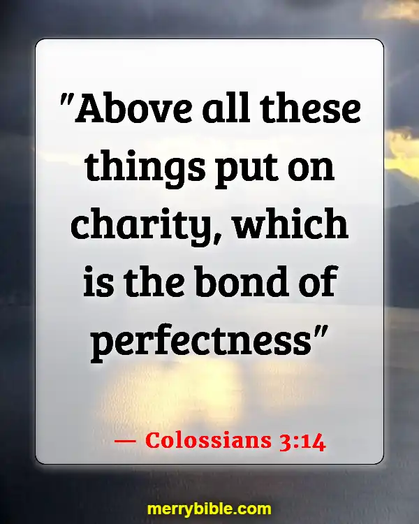 Bible Verses About God Holding Us Together In His Arms (Colossians 3:14)