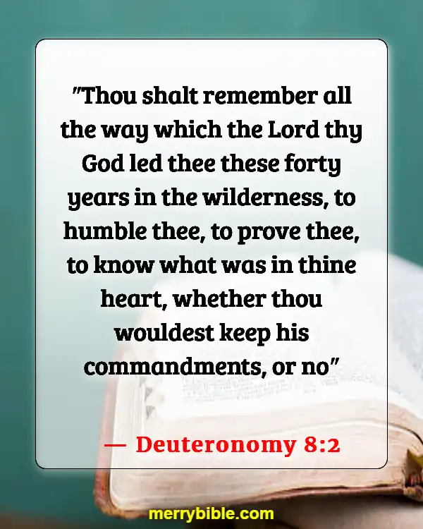 Bible Verses About Remembering What God Has Done (Deuteronomy 8:2)