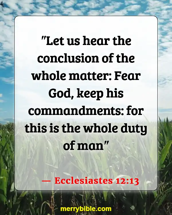 Bible Verses About Why We Were Created (Ecclesiastes 12:13)