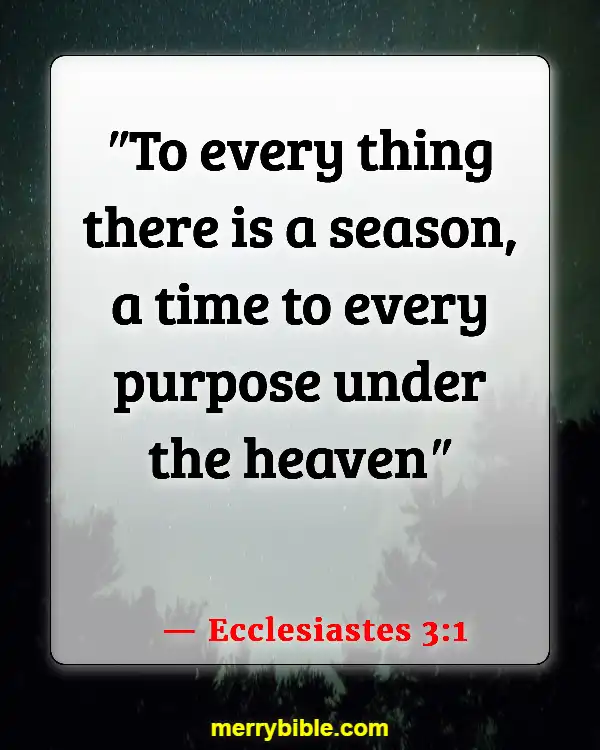 Bible Verses For Students Encouragement (Ecclesiastes 3:1)