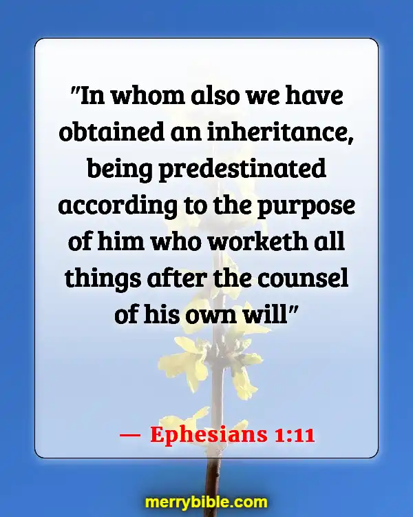 Bible Verses About Being Unique And Special (Ephesians 1:11)