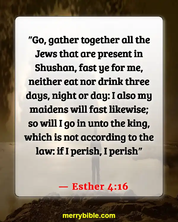 Bible Verse About Hard Working Woman (Esther 4:16)