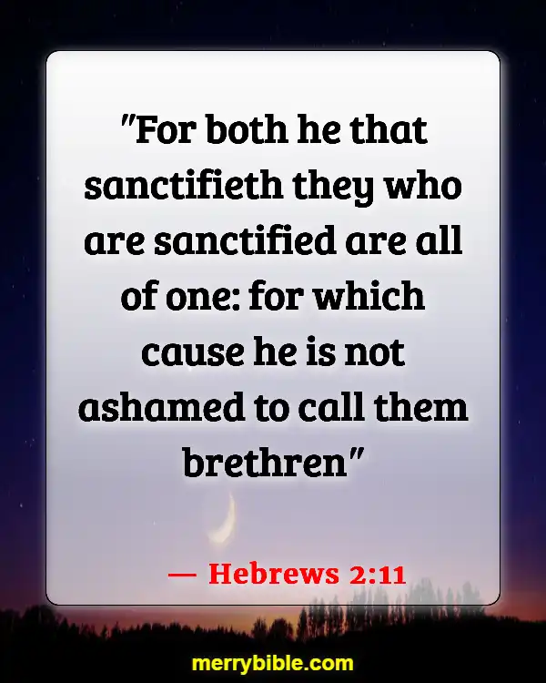 Bible Verses About Belonging To The Family Of God (Hebrews 2:11)