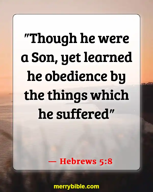 Bible Verses About Jesus Doing The Will Of The Father (Hebrews 5:8)