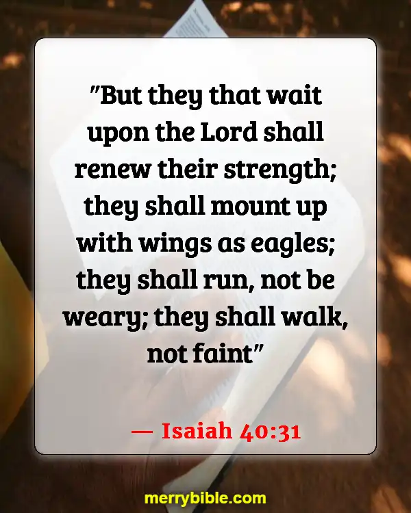 Bible Verses About God Walking With Us Through Hard Times (Isaiah 40:31)
