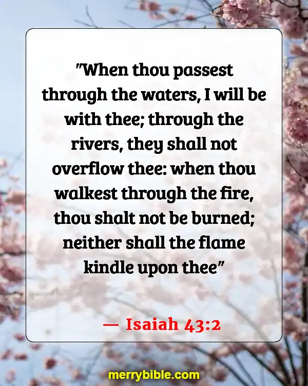 Bible Verses About God Walking With Us Through Hard Times (Isaiah 43:2)