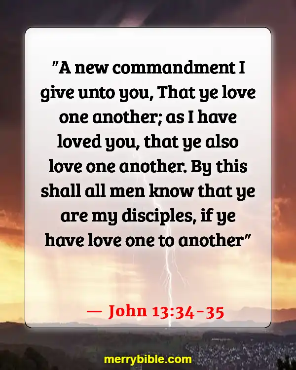 Bible Verses About God Holding Us Together In His Arms (John 13:34-35)