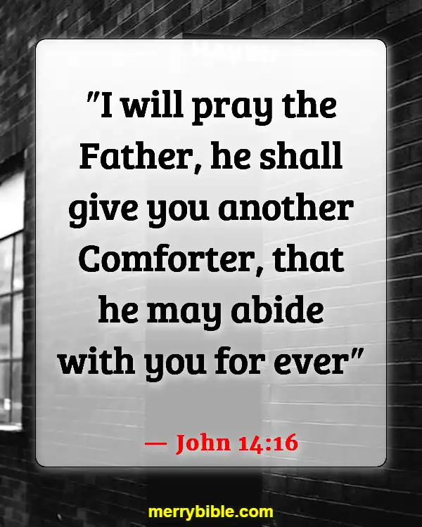 Bible Verses About God Walking With Us Through Hard Times (John 14:16)