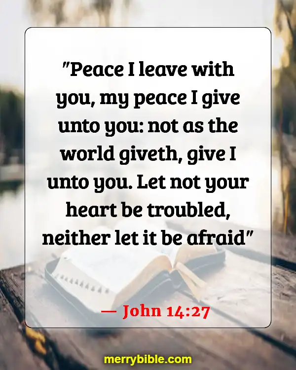Bible Verses About God Walking With Us Through Hard Times (John 14:27)