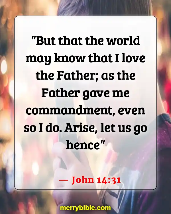 Bible Verses About Jesus Doing The Will Of The Father (John 14:31)