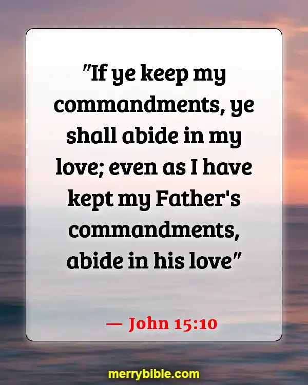 Bible Verses About Jesus Doing The Will Of The Father (John 15:10)