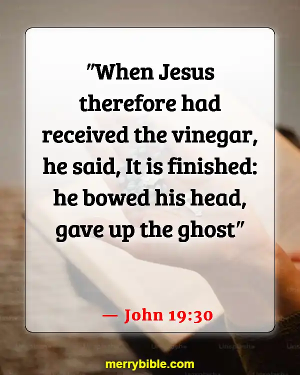 Bible Verses About Jesus Doing The Will Of The Father (John 19:30)
