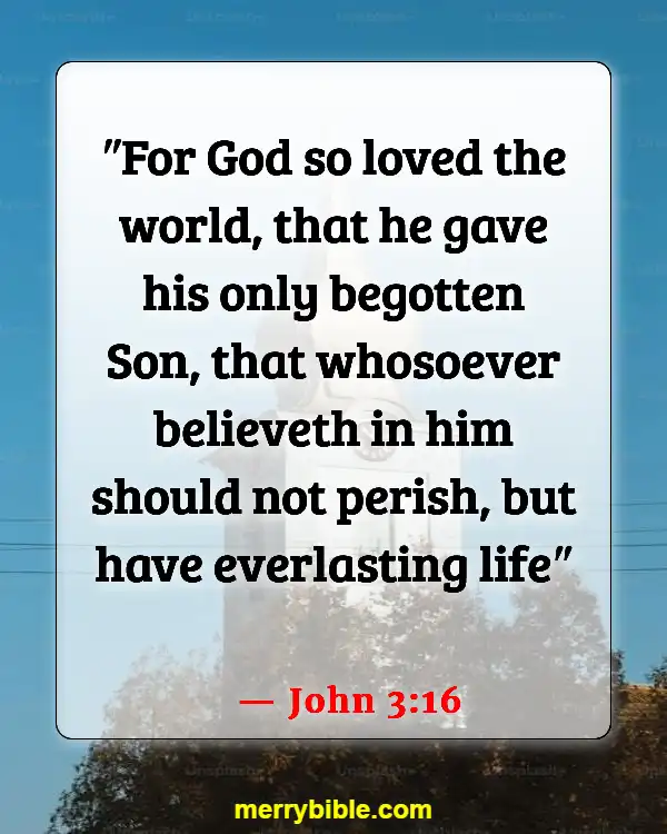 Bible Verses About Jesus Doing The Will Of The Father (John 3:16)