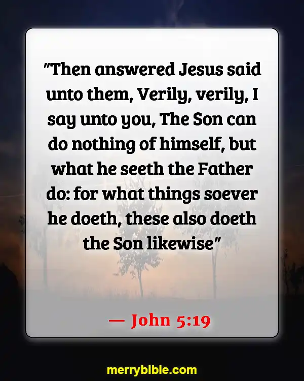 Bible Verses About Jesus Doing The Will Of The Father (John 5:19)