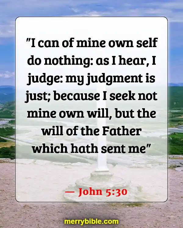 Bible Verses About Jesus Doing The Will Of The Father (John 5:30)
