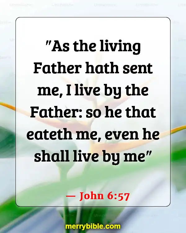 Bible Verses About Jesus Doing The Will Of The Father (John 6:57)