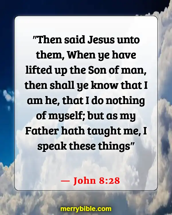Bible Verses About Jesus Doing The Will Of The Father (John 8:28)