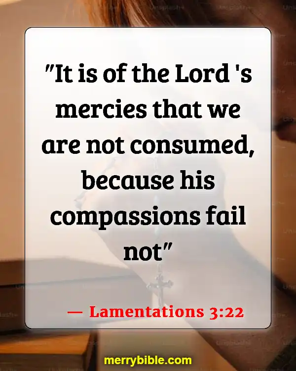 Bible Verses About God Walking With Us Through Hard Times (Lamentations 3:22)