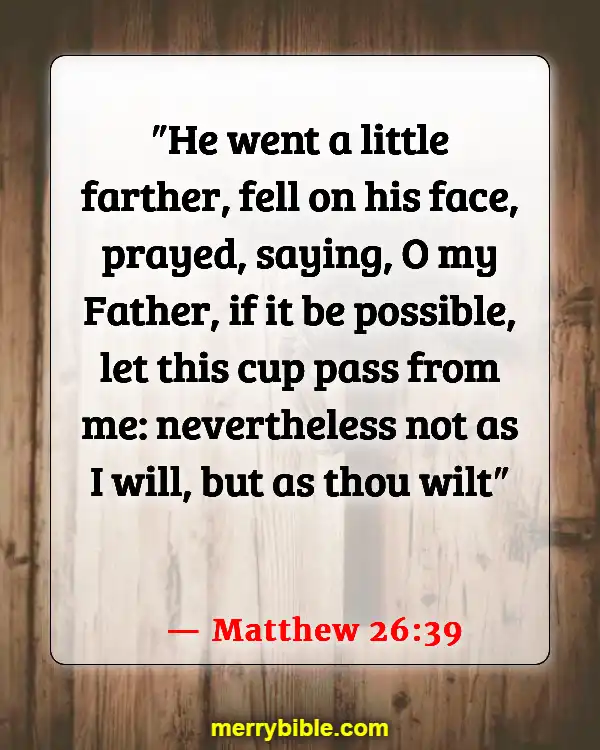 Bible Verses About Jesus Doing The Will Of The Father (Matthew 26:39)
