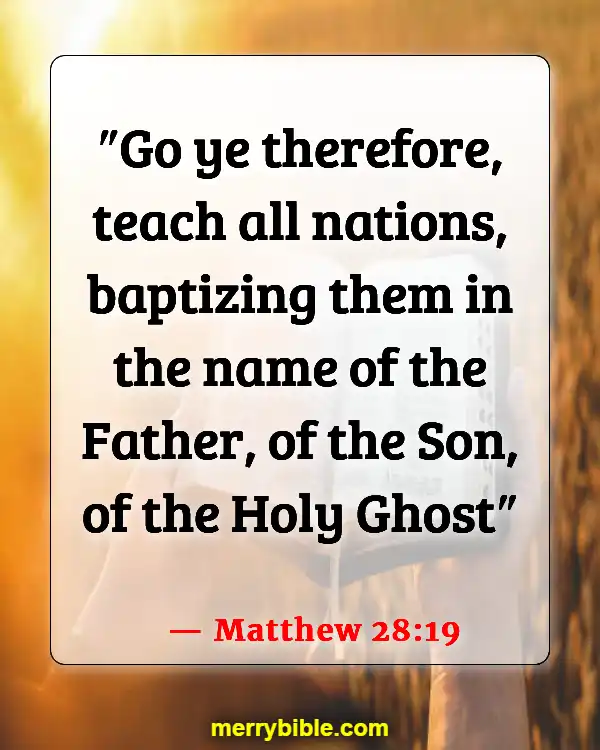 Bible Verses About Why We Were Created (Matthew 28:19)