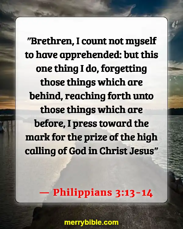 Bible Verse About Running The Race With Perseverance (Philippians 3:13-14)