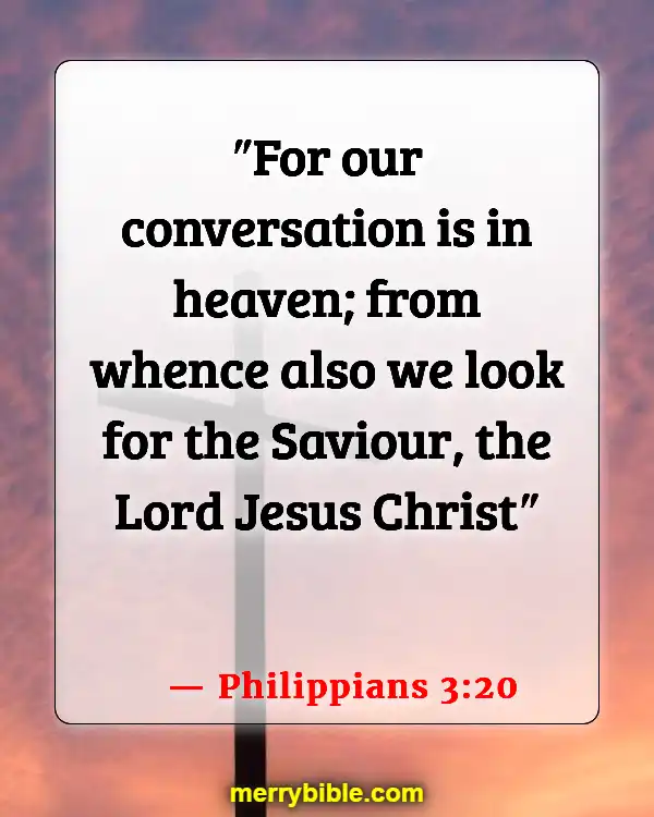 Bible Verses About Living Life To The Fullest (Philippians 3:20)