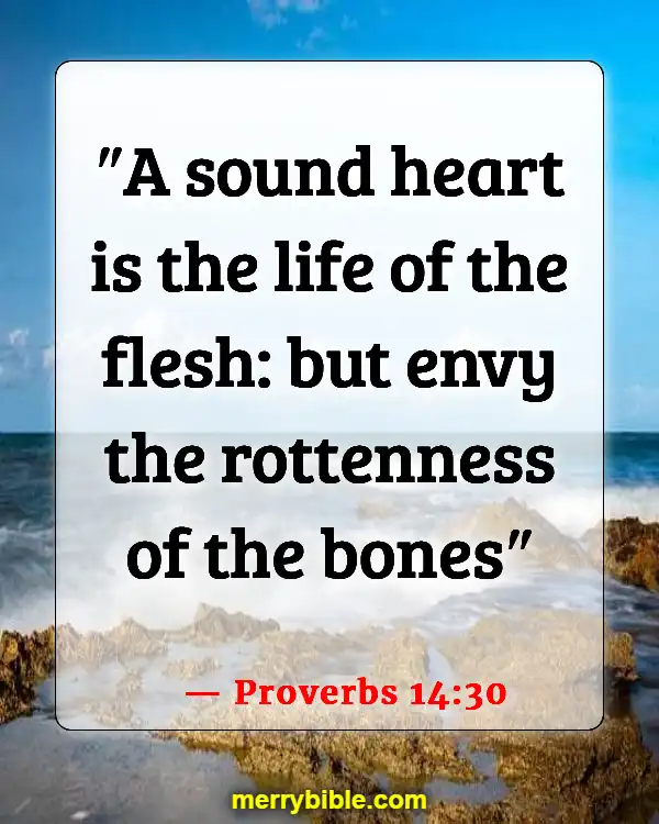 Bible Verses About Being Unique And Special (Proverbs 14:30)
