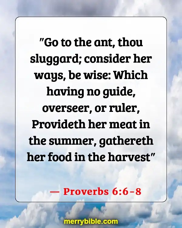 Bible Verses For Students Encouragement (Proverbs 6:6-8)
