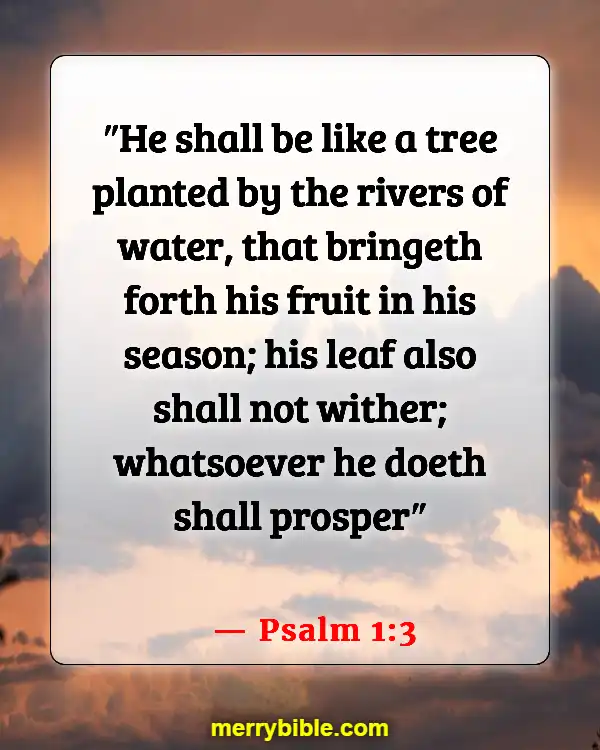 Bible Verses About Business Blessings (Psalm 1:3)