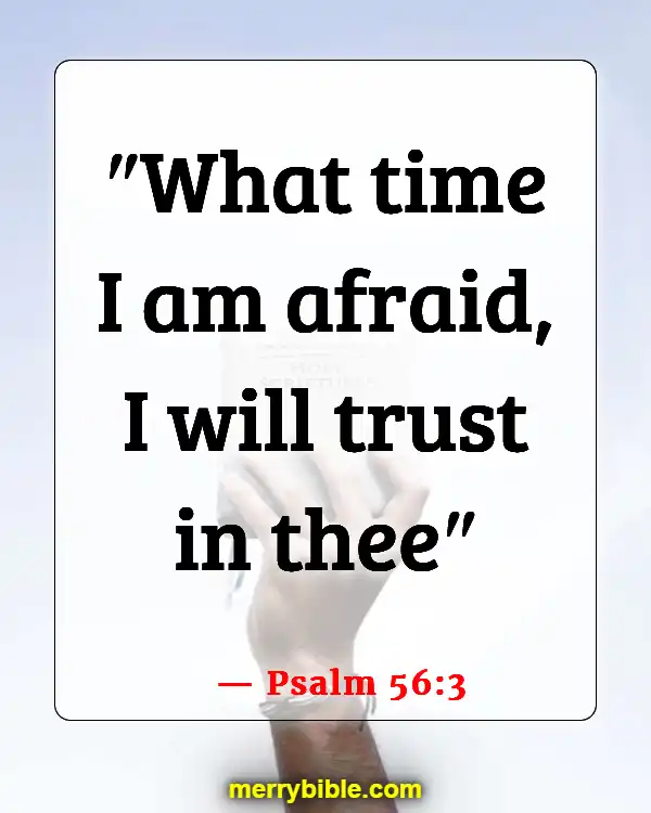 Bible Verses About Staying Calm In The Storm And Trusting God (Psalm 56:3)