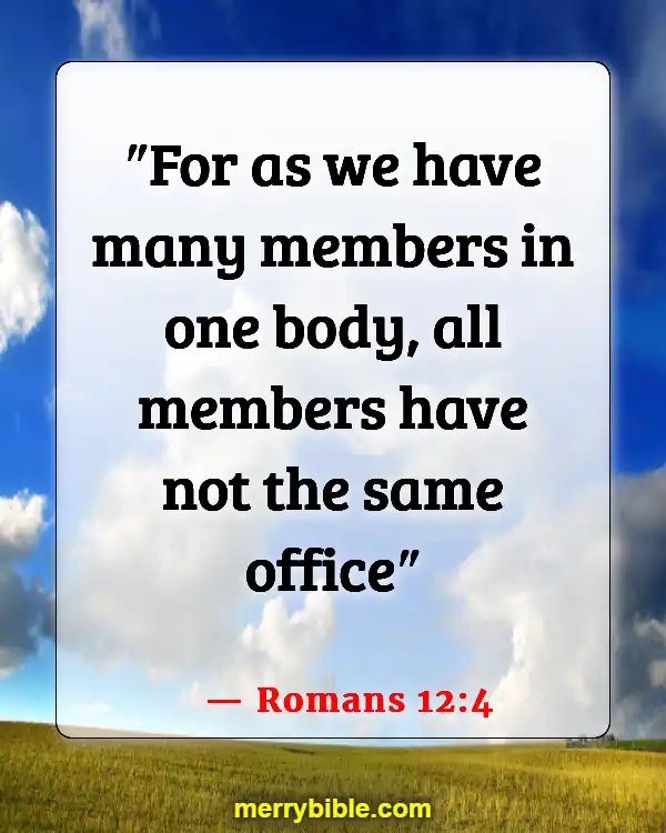 Bible Verses About Being Unique And Special (Romans 12:4)