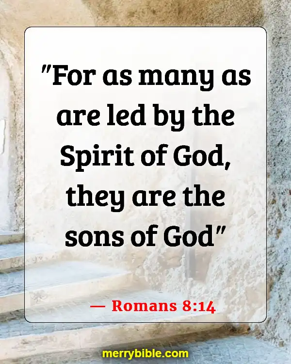 Bible Verses About God Directing Your Path (Romans 8:14)