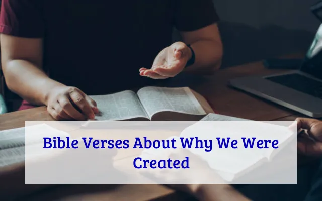 Bible Verses About Why We Were Created